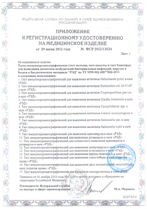 Приложение к регистрационному удостоверению на медицинское изделие